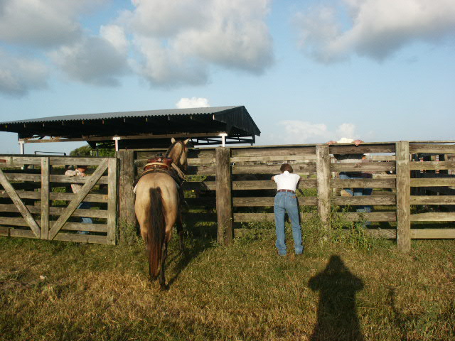 AP Ranch, Matagorda County, TX